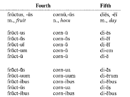 Fourth Declension Latin Nouns 5